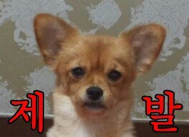 우리나라에 살면서 정말 이해가 안 가는 것 | 인스티즈