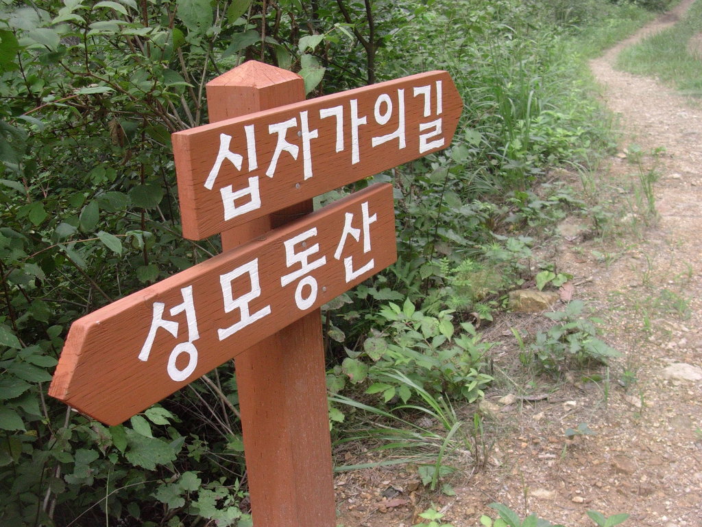 성모상회 이미지