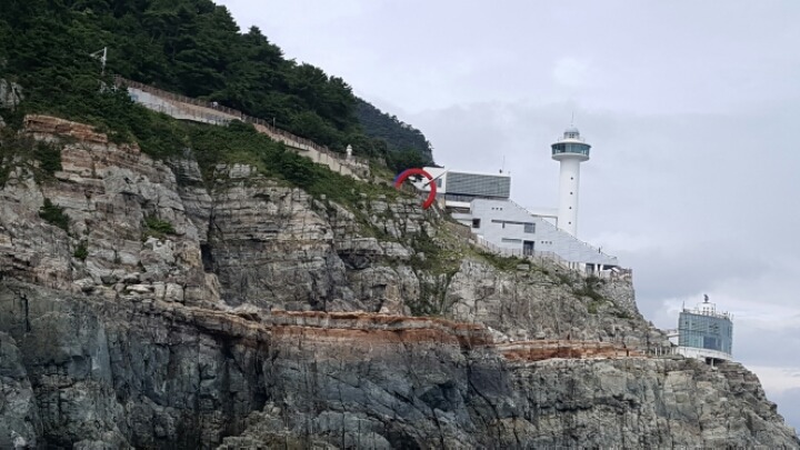 오륙도갈매기 이미지