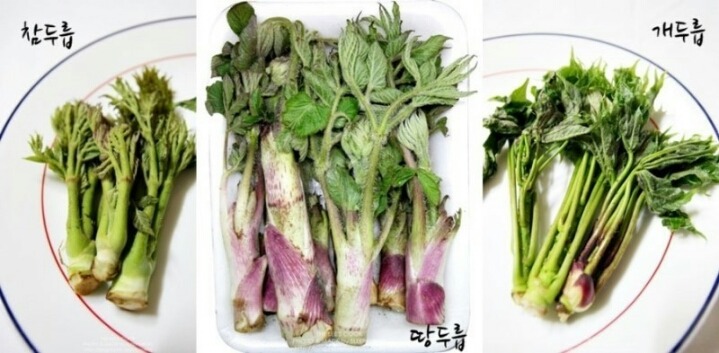 역대 대통령이 즐겼다는 음식중에 너무 맛이없었던 음식 | 인스티즈
