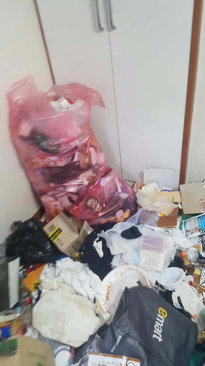 쓰레기더미에서 고양이와 살던 아가씨 퇴거시키고 왔습니다 | 인스티즈