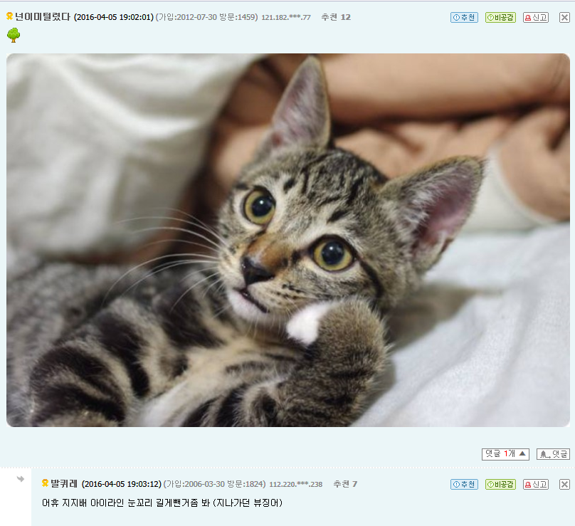 4*5=20 식목일 20만원컴퓨터대란 최종정리 | 인스티즈