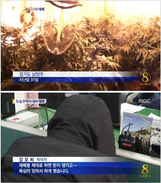 여대생_은밀하게_자취방에서.jpg | 인스티즈