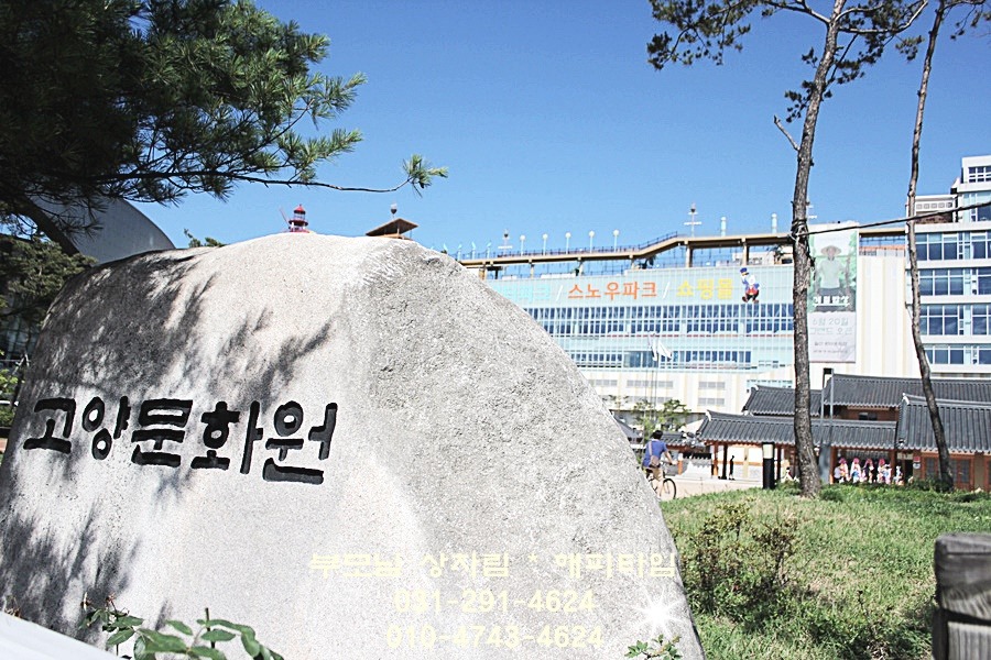 효도상사 이미지