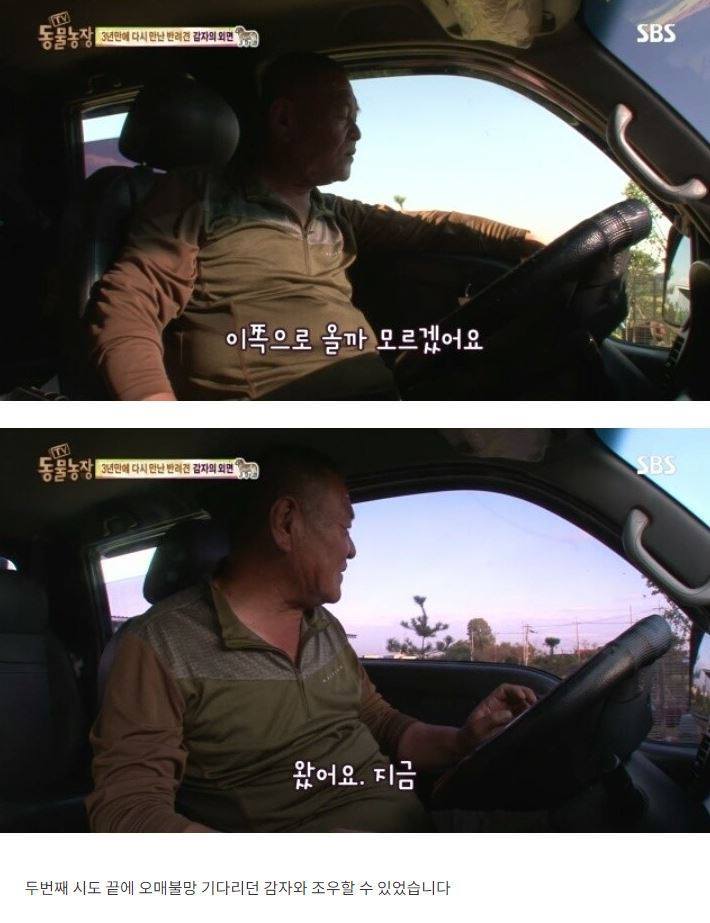 잃어버린 개를 3년만에 찾은 아저씨 | 인스티즈
