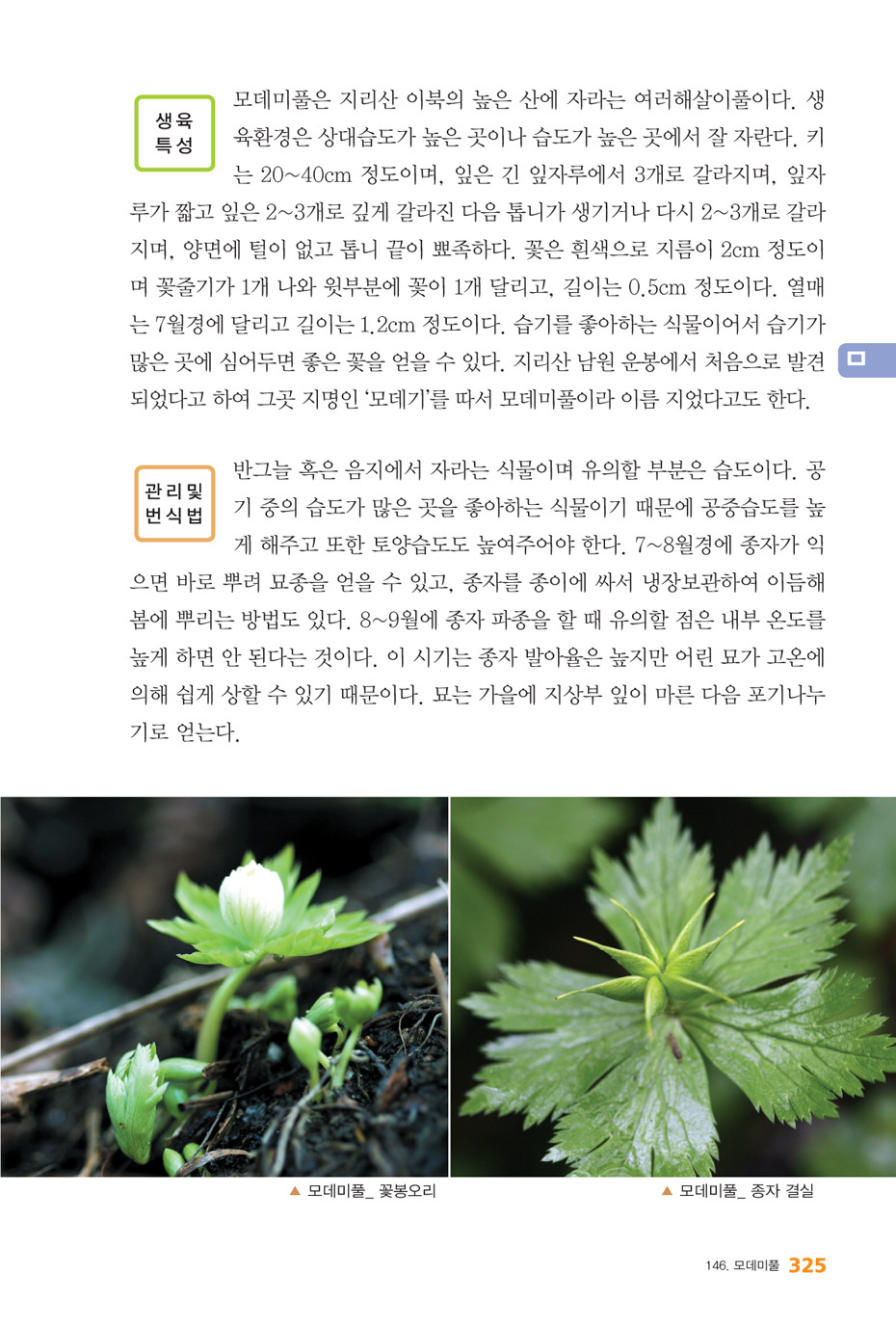 사계절야생화 이미지