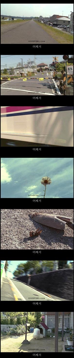 [눈물주의슬픔주의] 강아지의 일생 | 인스티즈