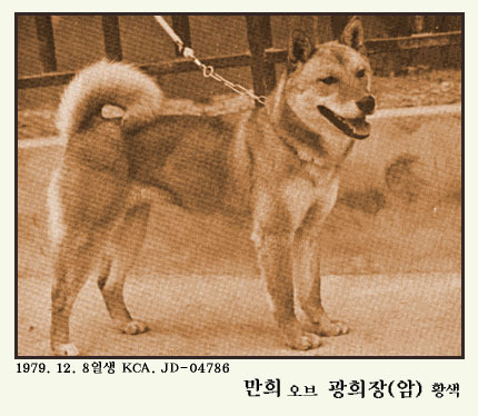 만희 이미지