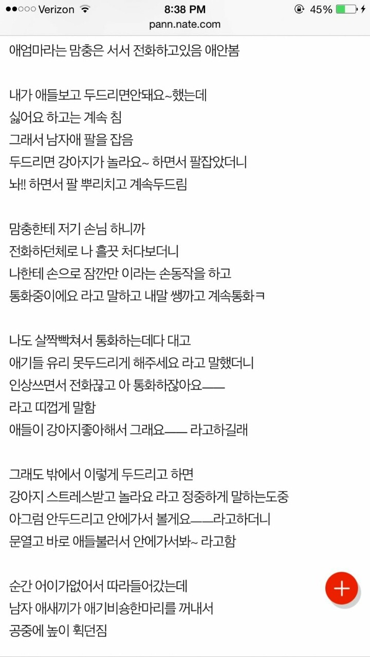 강아지를 집어던진 아이들과 애견샵 주인 | 인스티즈