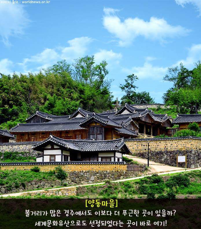 혼자 떠나기도 좋은 경주 여행 | 인스티즈
