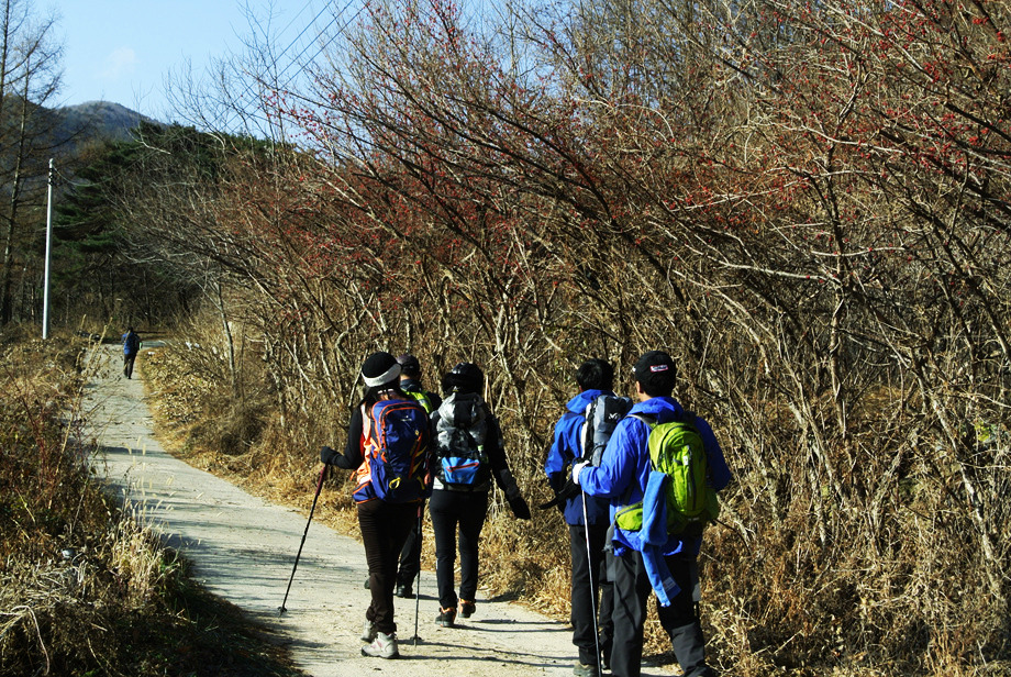 마리의봄날 이미지