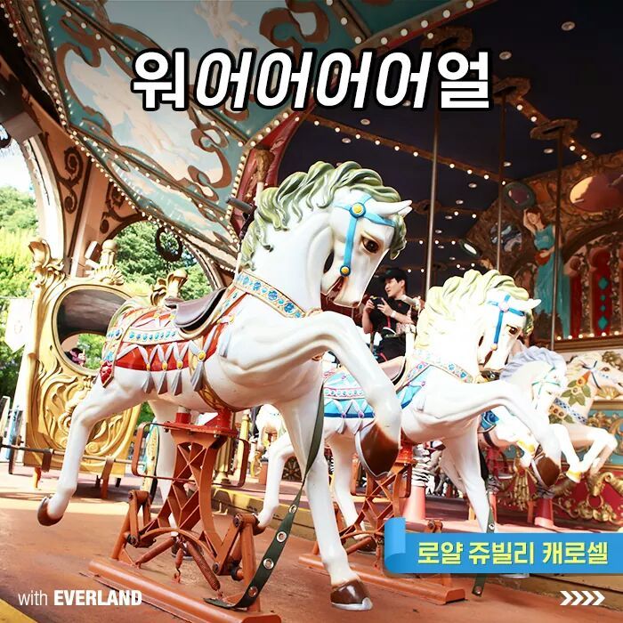 에버랜드로 보는 일주일 | 인스티즈