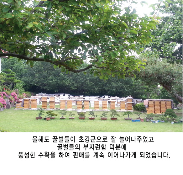 익은꿀 이미지