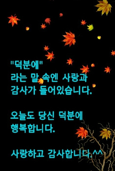 보람식품 이미지