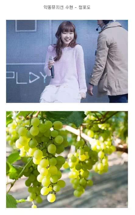 사물을 닮은 남.여 연예인들 | 인스티즈