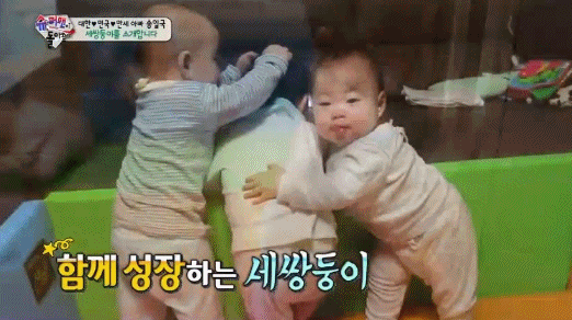 강냉이 두 개 보유하고 있던 시절 만세 -ㅅ- (모태비글냄새) | 인스티즈