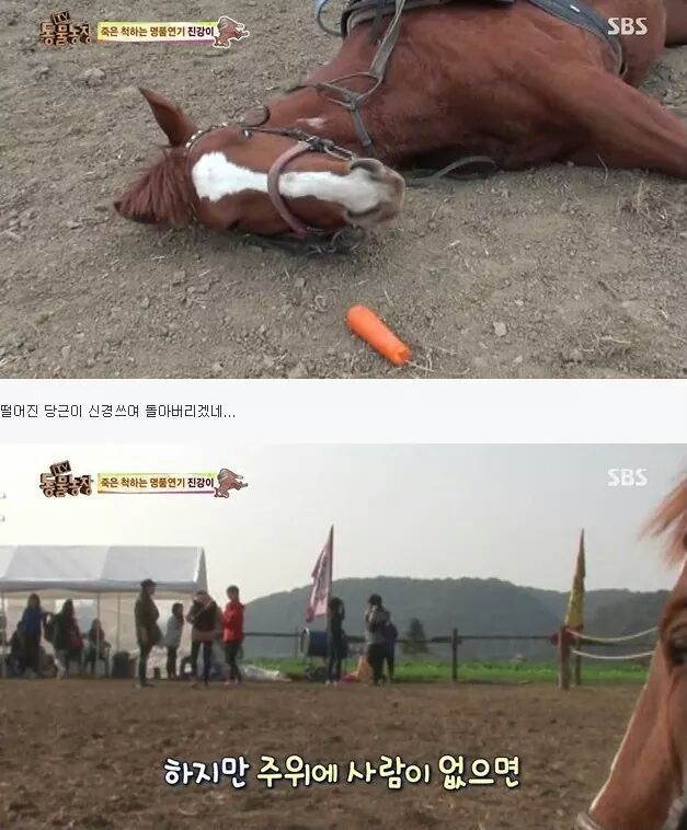말도 안되는 말 | 인스티즈