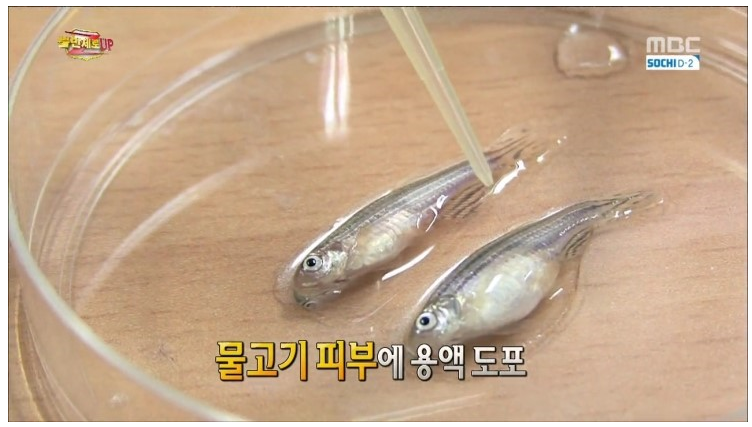  물티슈의 위험성... | 인스티즈