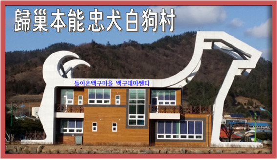 돈지마을 이미지