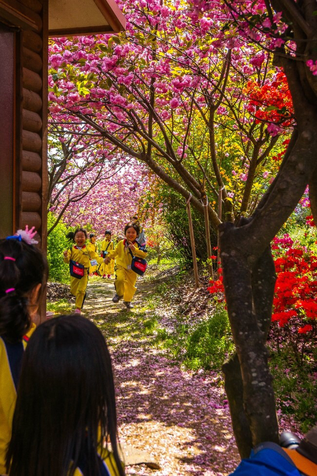 전주 완산공원 꽃동산 - 관광객보다 전주 시민들이 더 많이 가는 곳 | 인스티즈