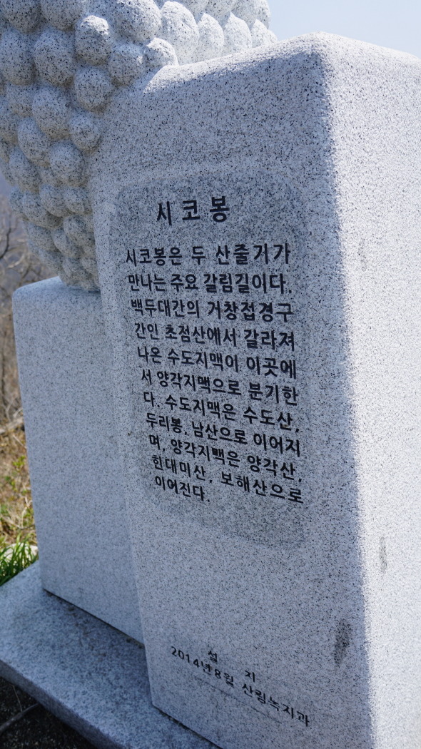 개금약초 이미지