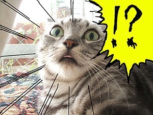 오늘이 마지막 재외국민&국외거주자 투표신청날이야!!! | 인스티즈