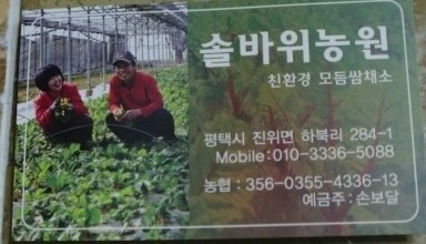 솔바위 이미지