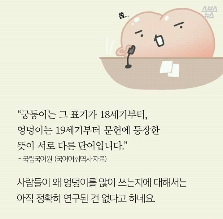 억울한 살덩이의 외침 (궁둥이와 엉덩이) | 인스티즈