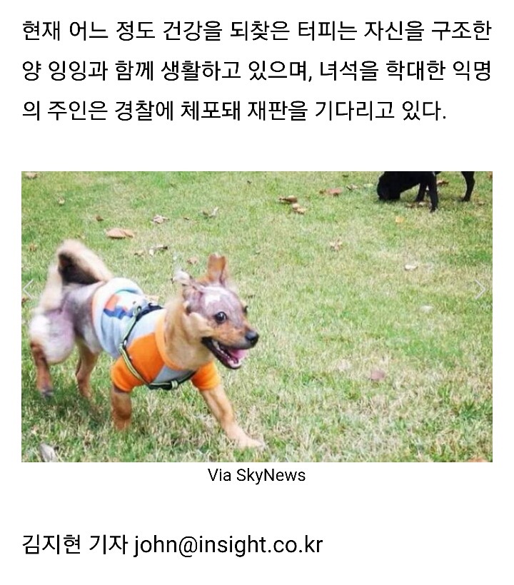 스마트폰 씹었다고 반려견에 끓는 물 부은 주인 | 인스티즈