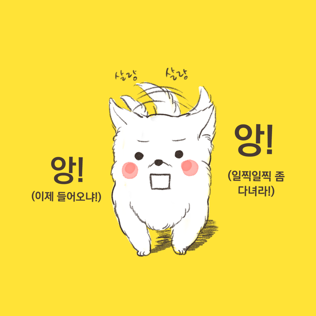 반려동물 공감만화.jpg | 인스티즈