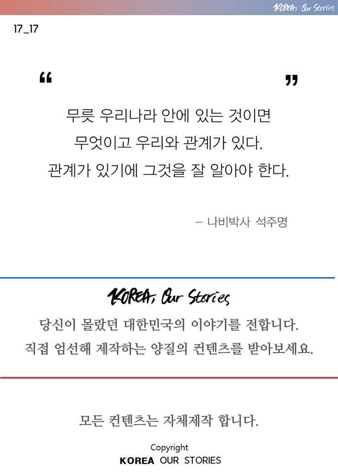 한국에서 나비가 사라졌다 | 인스티즈