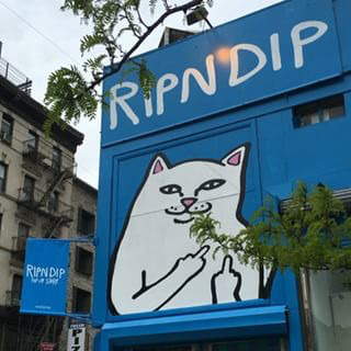 [ripndip] 유명 고양이 아이템 | 인스티즈
