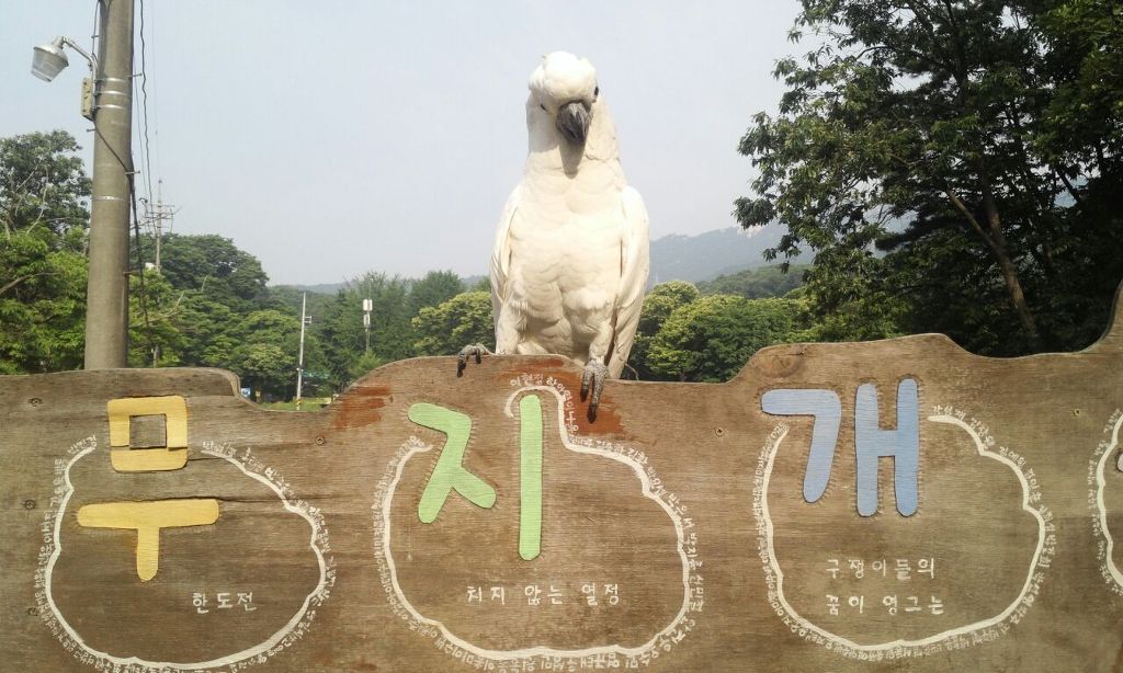 예삐농장 이미지