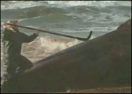 고래 사체의 배를 가르자...gif (징그러움 주의) | 인스티즈