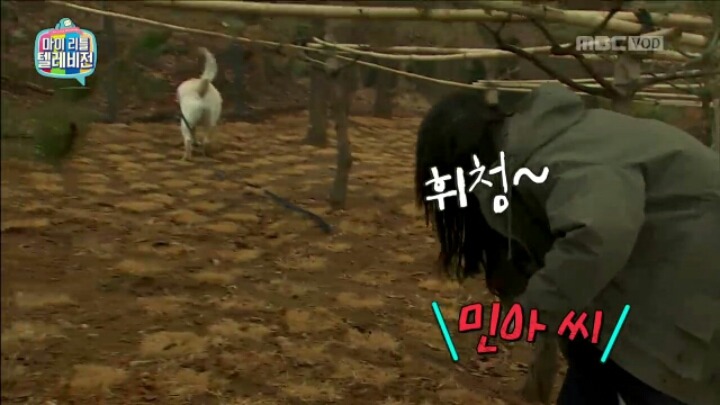 [마리텔] 조련당하는 민아 | 인스티즈