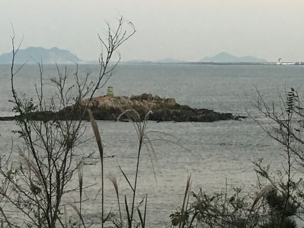 태양인력사무소 이미지