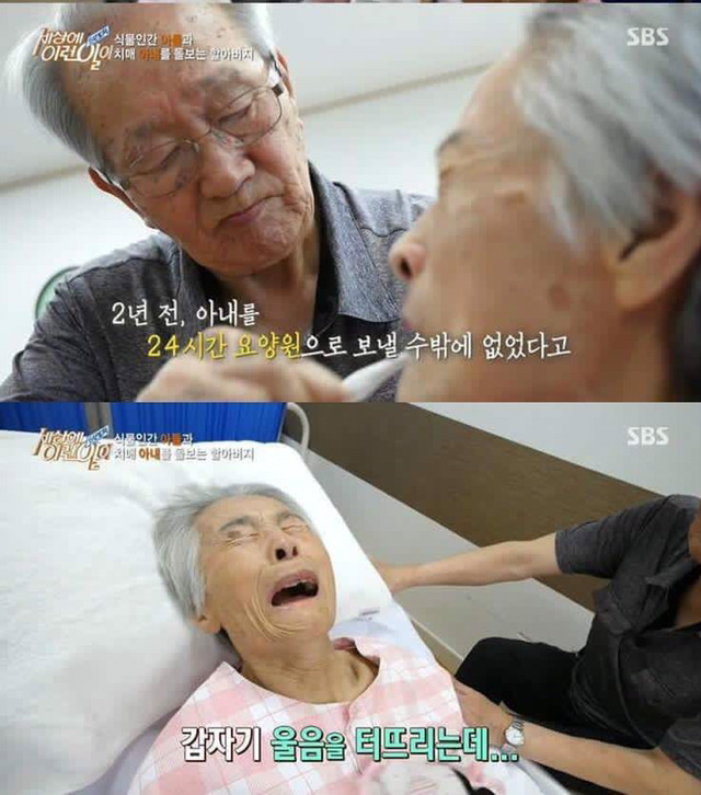 치매 아내와 식물인간 아들을 돌보는 할아버지.. | 인스티즈