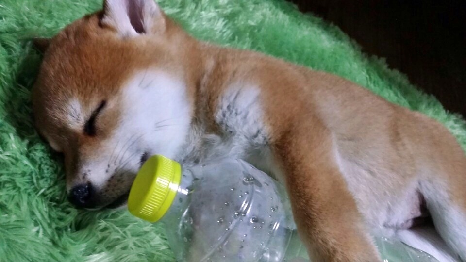 봉자 이미지