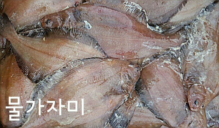 화진호 이미지