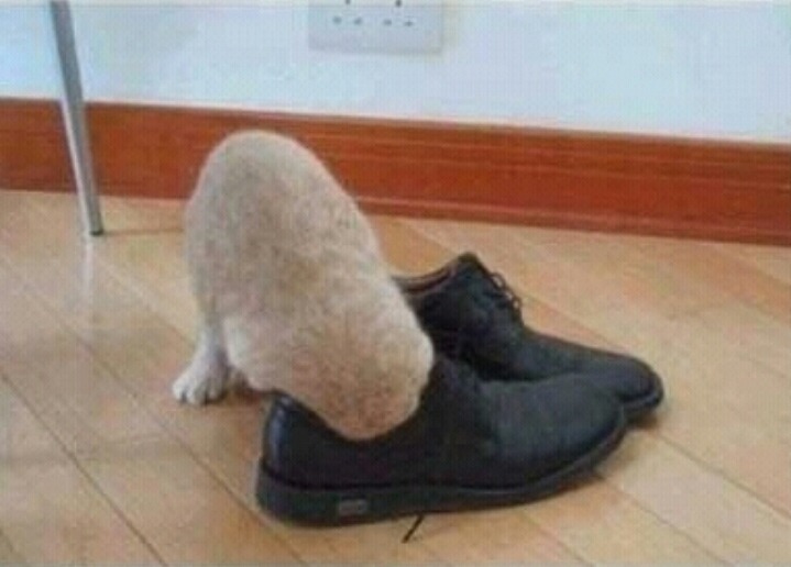 훅 이미지