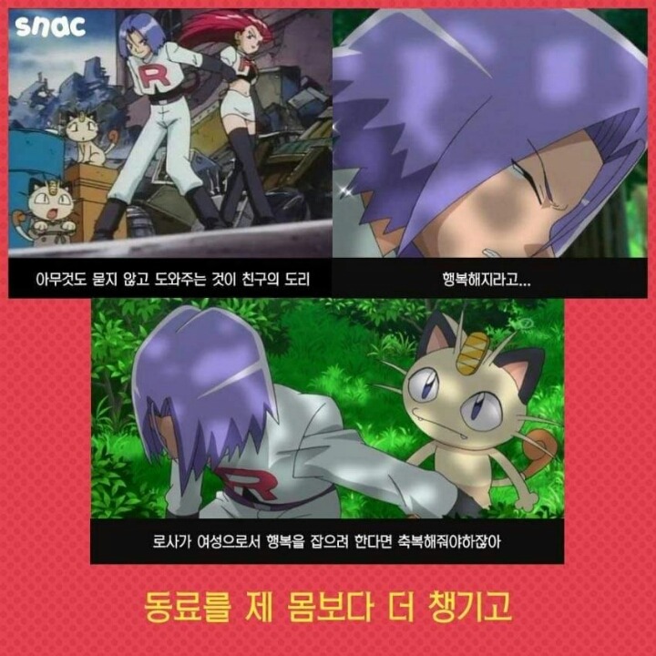 포켓몬의 진짜 주인공 | 인스티즈