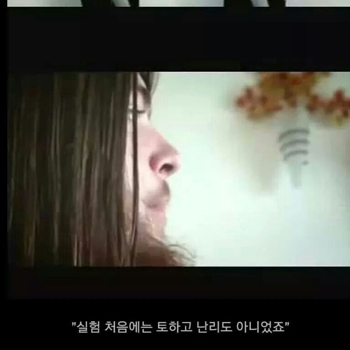 음식을 먹어도 살안찌는 사람들에 대한자료 | 인스티즈
