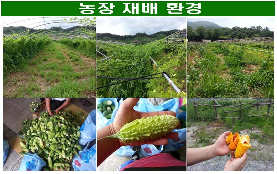 여주상회 이미지