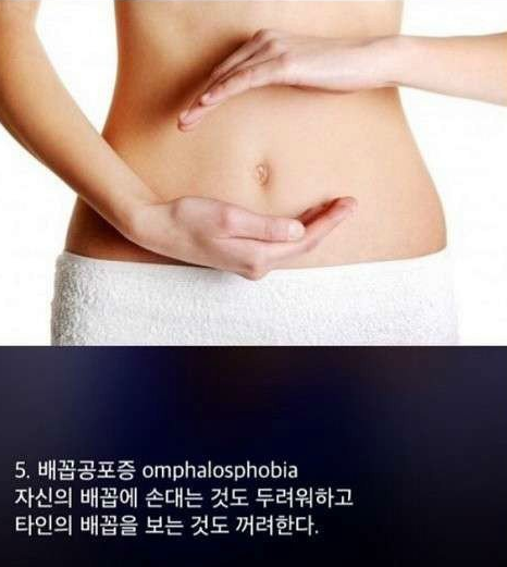 공포증 종류 | 인스티즈