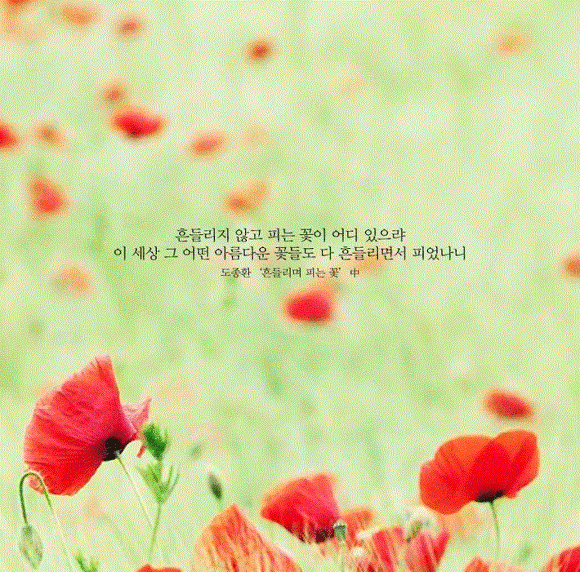 평생 삶의 결정적 순간을 찍으려 발버둥 쳤으나 삶의 모든 순간이 결정적 순간이었다 | 인스티즈