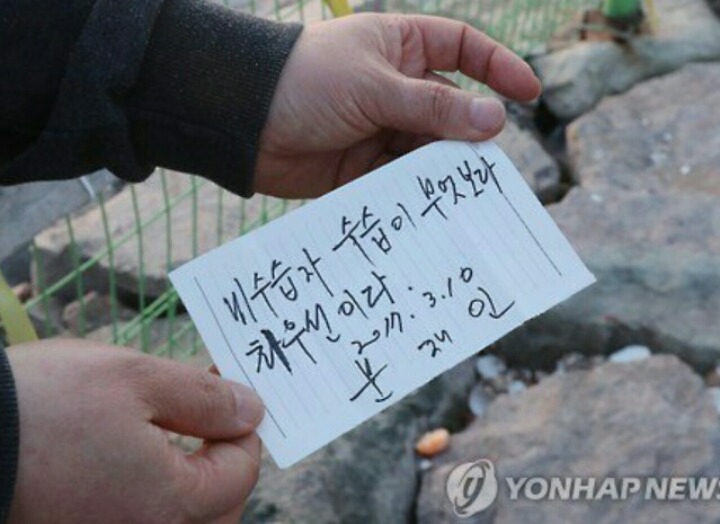 이래서 문재인입니다 | 인스티즈