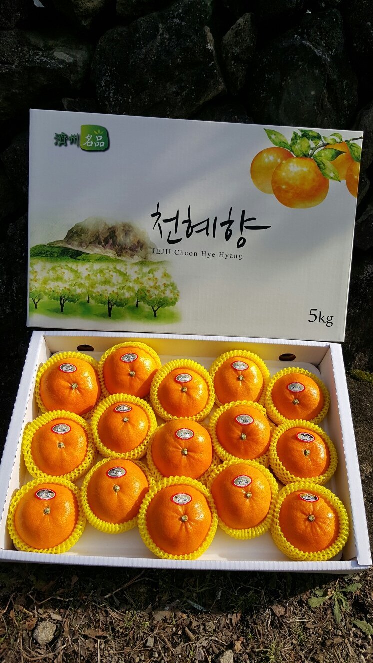 청정과일 이미지