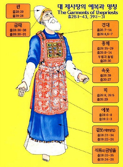 청색자색 이미지