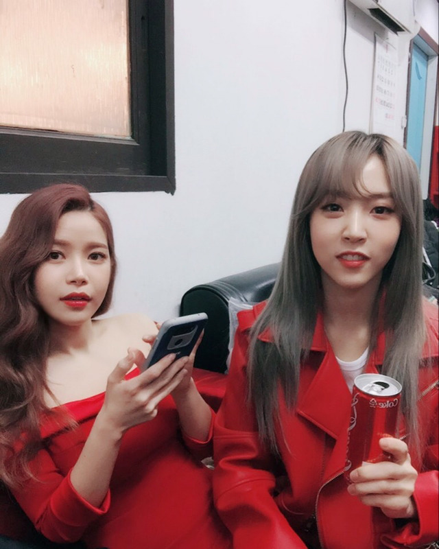 솔라 이미지