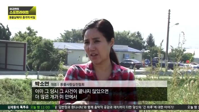 개 50여마리를 담뱃불로 지지고 던지고 매질해 살해한 남고생 7명.jpg | 인스티즈
